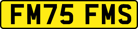 FM75FMS