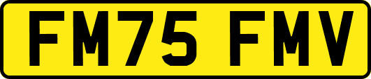 FM75FMV
