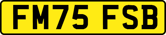 FM75FSB