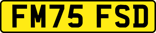 FM75FSD