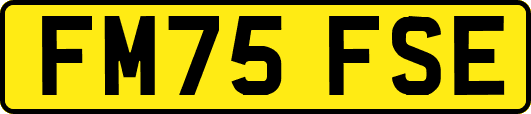 FM75FSE