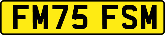 FM75FSM