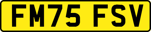 FM75FSV