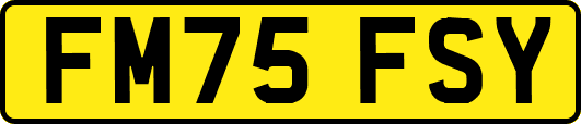FM75FSY