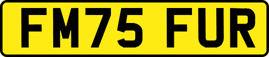 FM75FUR