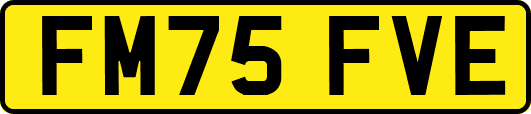 FM75FVE