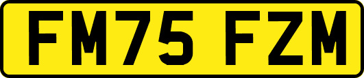 FM75FZM