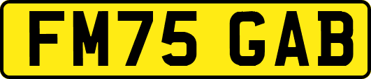 FM75GAB