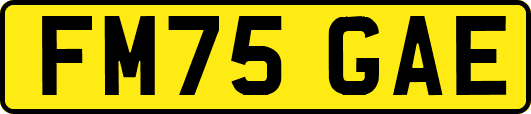 FM75GAE