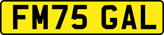 FM75GAL