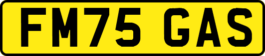 FM75GAS