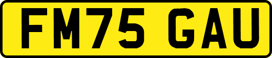 FM75GAU