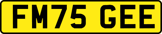 FM75GEE