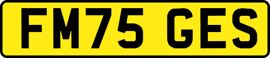FM75GES
