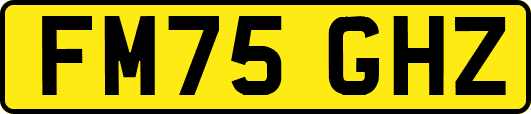 FM75GHZ