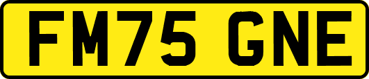 FM75GNE