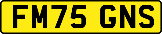 FM75GNS
