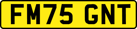 FM75GNT