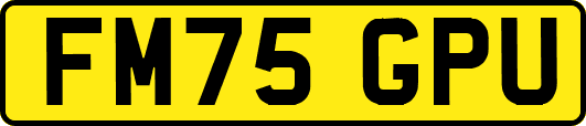 FM75GPU