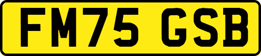 FM75GSB