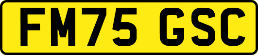 FM75GSC