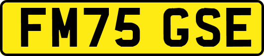 FM75GSE