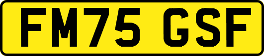 FM75GSF