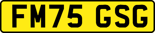 FM75GSG
