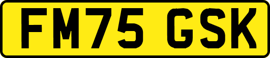 FM75GSK