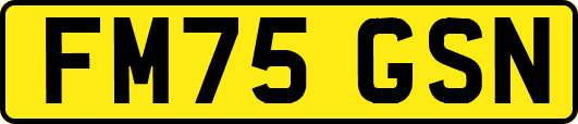 FM75GSN
