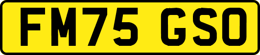 FM75GSO