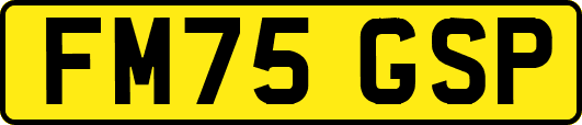 FM75GSP