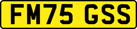 FM75GSS