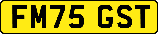 FM75GST