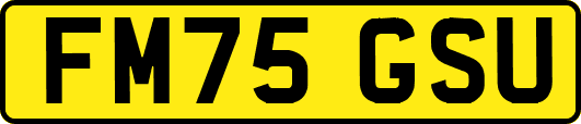 FM75GSU