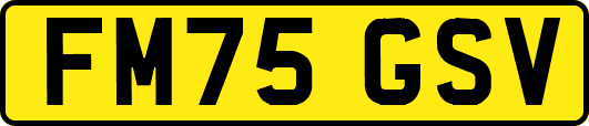 FM75GSV