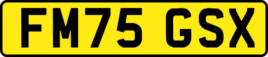 FM75GSX