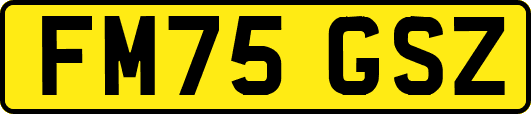 FM75GSZ