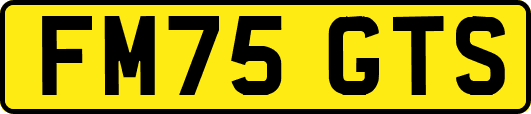FM75GTS