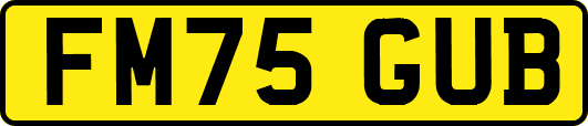 FM75GUB