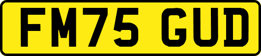 FM75GUD