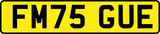 FM75GUE