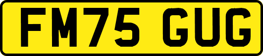 FM75GUG