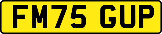 FM75GUP