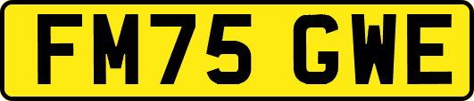 FM75GWE