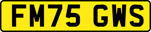 FM75GWS