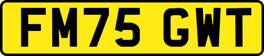 FM75GWT
