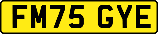 FM75GYE
