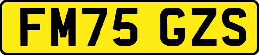 FM75GZS