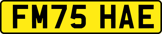 FM75HAE